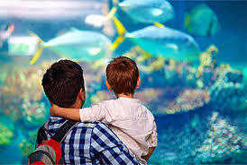 Aquarium Terrarium Krk